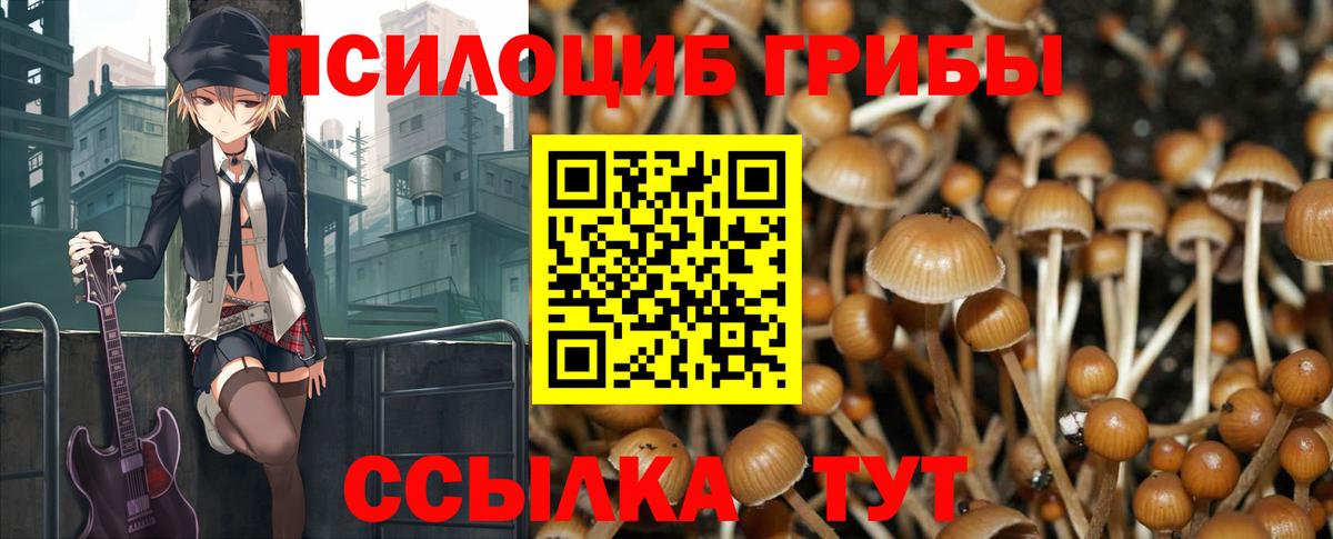 сколько стоит  Псилоцибиновые грибы MAGIC MUSHROOMS  Вход с VPN  Энгельс 