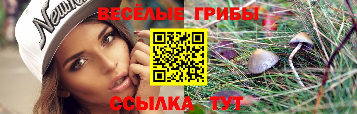 Псилоцибиновые грибы ЛСД Энгельс